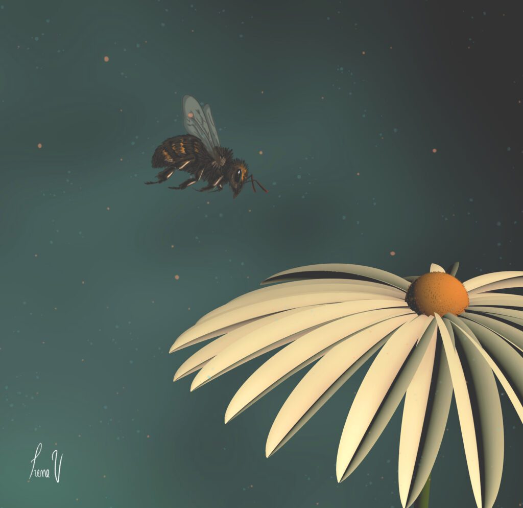 Digital illustration of a bee flying toward a white daisy flower against a soft teal background.